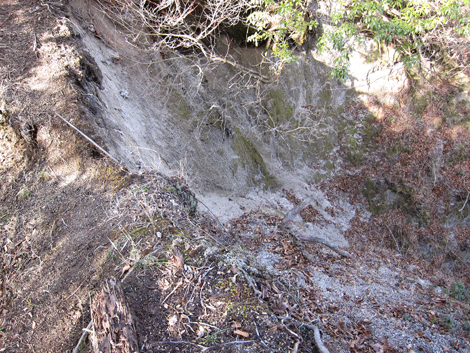 20200110hike (119)
